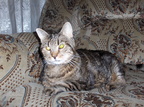 2006 02