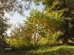 HPIM3842